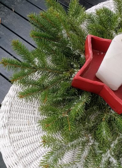 Preserved Fresh Evergreen Branches For Christmas The Peaceful Haven